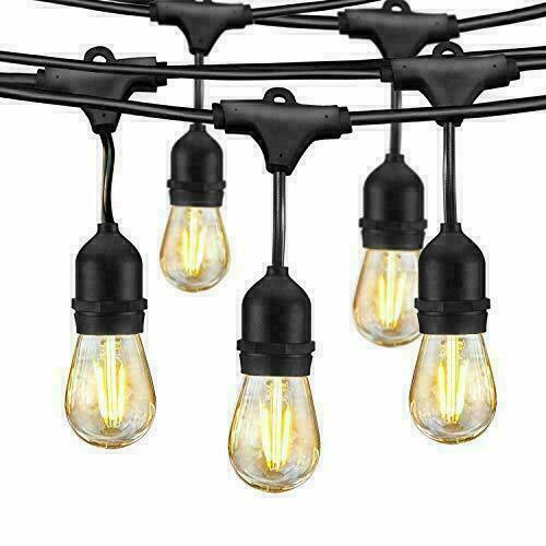 Festoon Lights